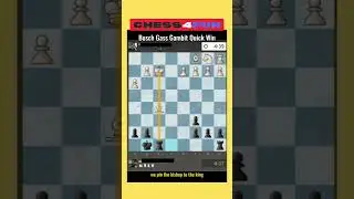 Busch Gass Gambit Quick Win chess Game  #buschgassgambit #chessforbeginners #chesstricks #shorts