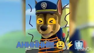 Bolt y mittens un amor real temporada 2 cap 69