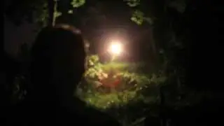 Il Giardino promesso - Appunti per una botanica manzoniana - Claudio Rocchetti