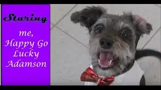 Make Time for Happy 101 Youtube Trailer