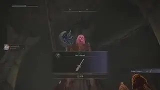 ELDEN RING - Biggest Brawl in the DLC against Leda and her Allies