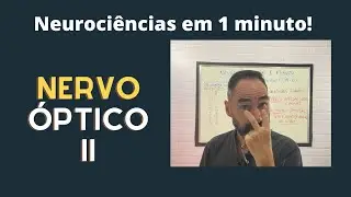 COMO FUNCIONA O NERVO &Oacute;PTICO ?