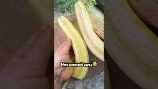 Шеф нож @Kaydzo_Japan WB - #WW151728 Ozon - 2089552595 #kaydzo #японскийнож #кухонныйнож #asmr #асмр