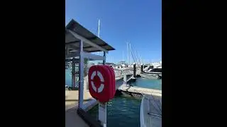 Boathouse Marina, Airlie Beach 🏖️ 