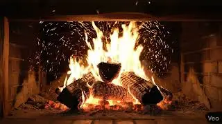 Forest Campfire Ambiance for Sleep