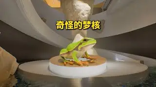 超阈限空间，梦核游戏第二章