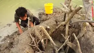 Build Underground Deep Hole To Make Fish Nest / How To Catch Fish By Build Underground Hole
