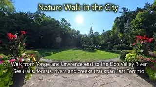 Nature Walk along River Trails | Don Valley | Toronto