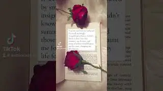 Read Love Letters to the Moon now available on Amazon Kindle+Paperback📚 #booktok #booktube