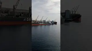 Dry Bulk Carrier Ship Loading | Bulk Carrier Ship | Crane Loading #bulkcarrier #ship #loading #sea