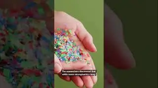 Italy Unveils Origami Solar Tech | Solgami Turns Windows into Power Plants