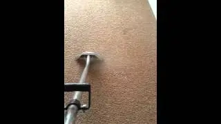 Carpet cleaning Fort Collins HomePro Carpet, Tile and Upholstery