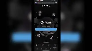 PAWS Solana OG allocation checker is Live. Hurry up and check! #paws #pawsupdate