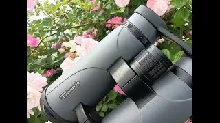 Bresser Pirsch 8x56 ED Binoculars