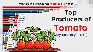 LARGEST TOMATO EXPORT by country  |  FAO
