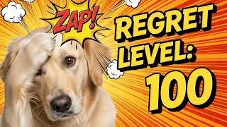 Dogs vs. Lemons… who will win?! 🐶 A Dog Video Compilation