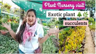 Plant nursery visit with name / exotic plant with name / winter flowers / indoor plants / gardentips