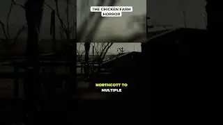The Chicken Farm Horror