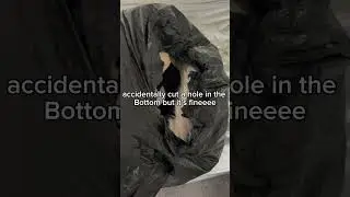 YAY NEW FURSUIT! :3 #furry #fursuiters #fursuit #unboxing #therian #therian #fursuitpartial