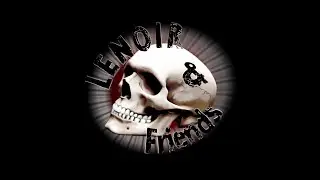 ROBERT LENOIR & FRIENDS - 