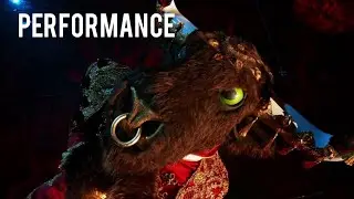 Bull sings 