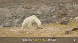 Face of climate change