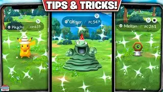 The Best Starts Now! Maximize the 8th Anniversary Event in Pokémon GO: Double XP & Stardust Tips!