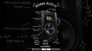 Adam Audio Studio Monitors