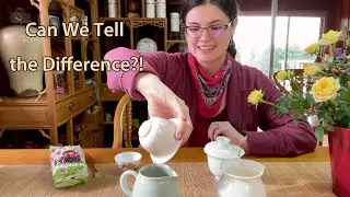 New Fall Harvest Tea VS Previous Spring Harvest! A Li Shan Taiwanese High Mountain Oolong