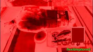 Fried Egg Does Not Carrier Rice Ball