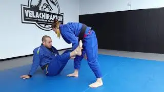 Spider guard to modified X guard sweep with coach Livia Gluchowska