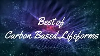 The Friggin Best of Carbon Based Lifeforms 2022