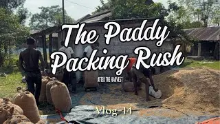 The Paddy packing Rush🌾 | Weekly Life Cinematic Vlog ✨