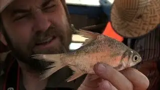 Vibrant Cambodian lake may face less-fishy future