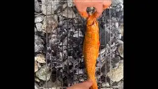 Watch This Before Eating Fish 😱 #shorts #facts #amazingfacts