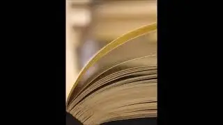 The Greatest Minds And Ideas Of All Times - by Will Durant