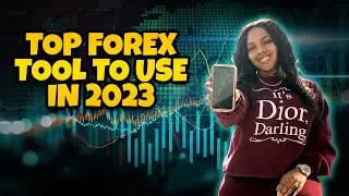 The Best Forex Trading Tool For Beginners (2023)