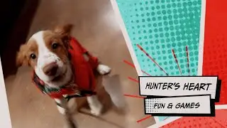 2023 Fun and Sniffing Games | Hunter's Heart Scent Detection Dog Training