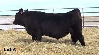 Lot 6 @ Browns Sale SAV America x Sav Resource ASA Number 20237737