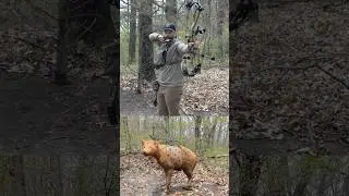 It's never you, always the equipment #archary #3darchery #psearchery #dialedarchery #shorts