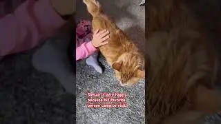 #bestfriend #love #happiness #family #cat #cutecat #catlover #cutepet #bonding #simian