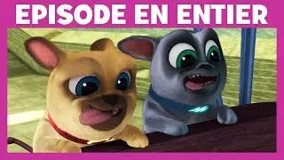 Le Monde de Bingo & Rolly - Moment Magique : Sur la Grande Muraille de Chine