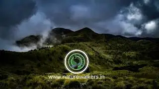 MEESAPULIMALA TREK ||  NATUREWALKERS