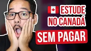 QUAIS UNIVERSIDADES NO CANAD&Aacute; OFERECEM BOLSAS DE ESTUDOS? | estudar no canad&aacute; de gra&ccedil;a