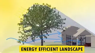 Energy efficient Landscaping for Passive Home Design