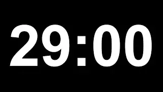 29 Minute Timer | Dark Mode