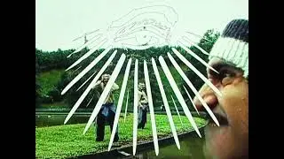 zorah - Molly (Official Video @icymra)