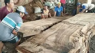 THE MONSTER WOOD OF ASIA || SAWMILL PROCESS || LOGS WOOD VERY LARGE