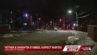 Mother and daughter stabbed in Pittsburgh's Fineview neighborhood