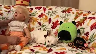 Toddler Tuesday with Liam by Bonnie Brown 🎃